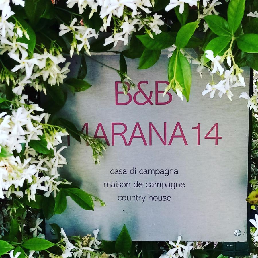 Casa de Campo Marana 14 Bolonha